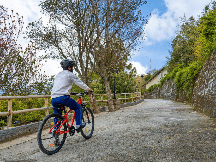  A serene paved pathway lined with trees, where a cyclist enjoys a leisurely ride through the resort's lush landscape - Digantaa Resort in Mukteshwar