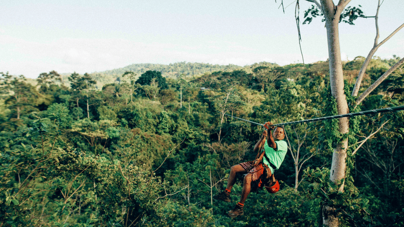 Person ziplining through a lush green forest canopy, suspended high above the ground with safety gear