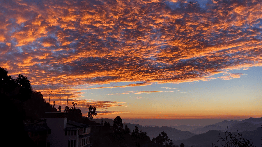 Digantaa Resort Mukteshwar - 30