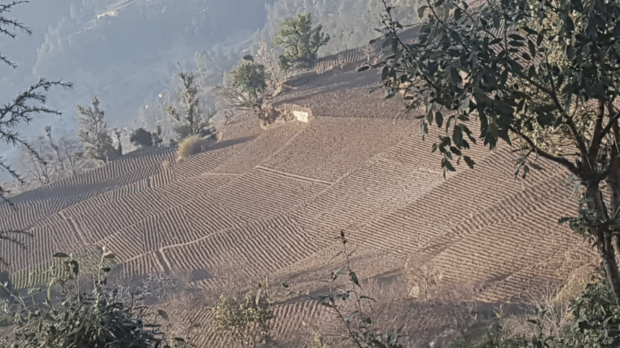 Digantaa Resort Mukteshwar - 76